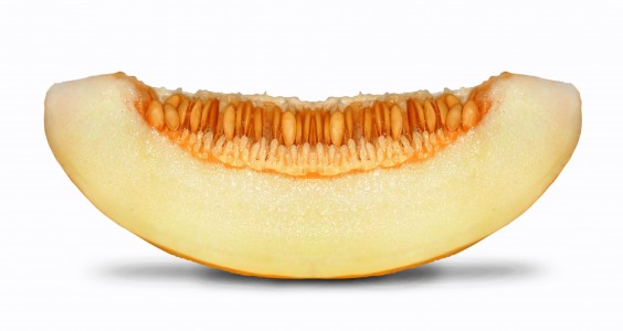 melón